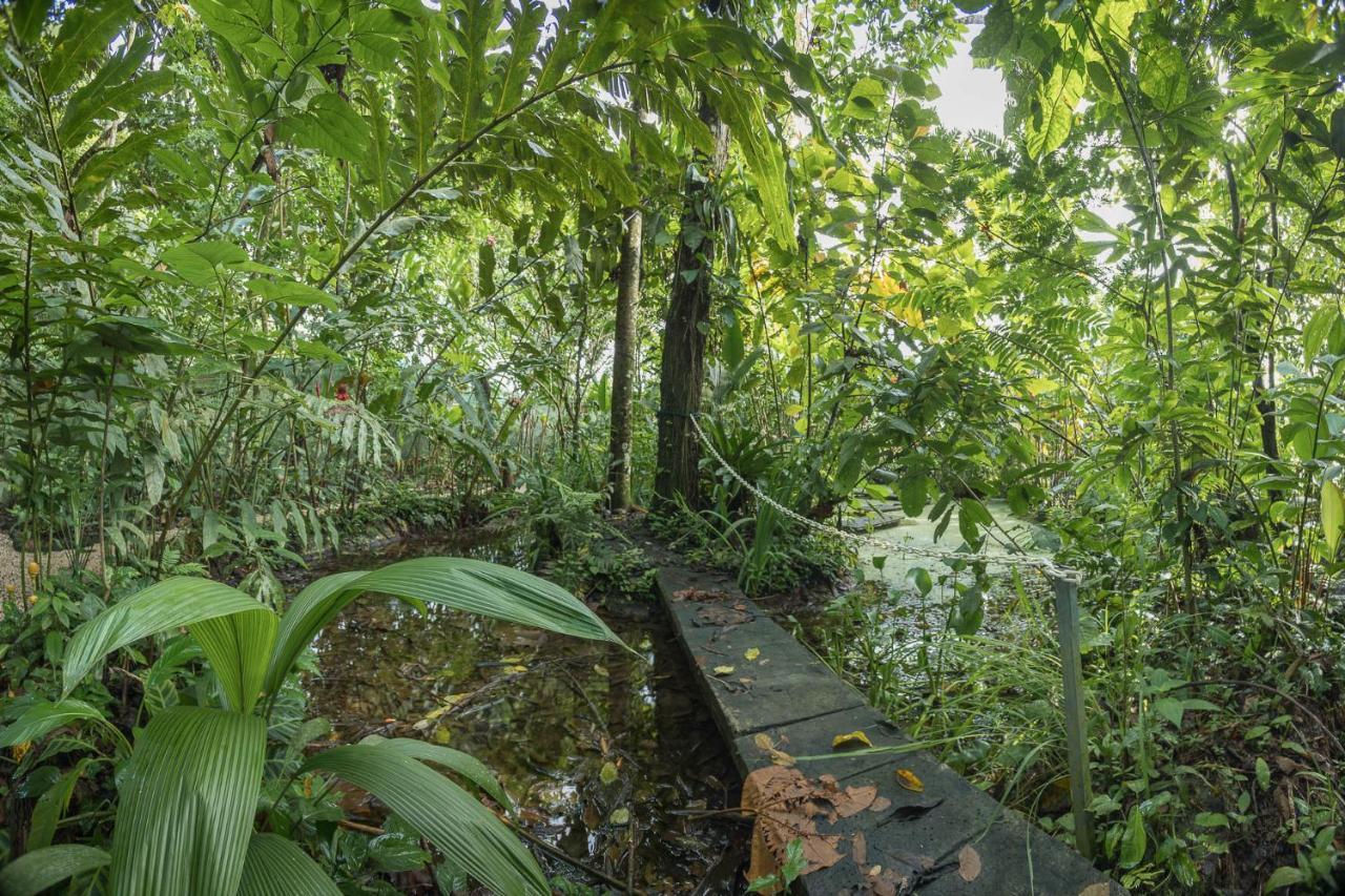 Cabanas Del Rio Aparthotel La Fortuna Bagian luar foto