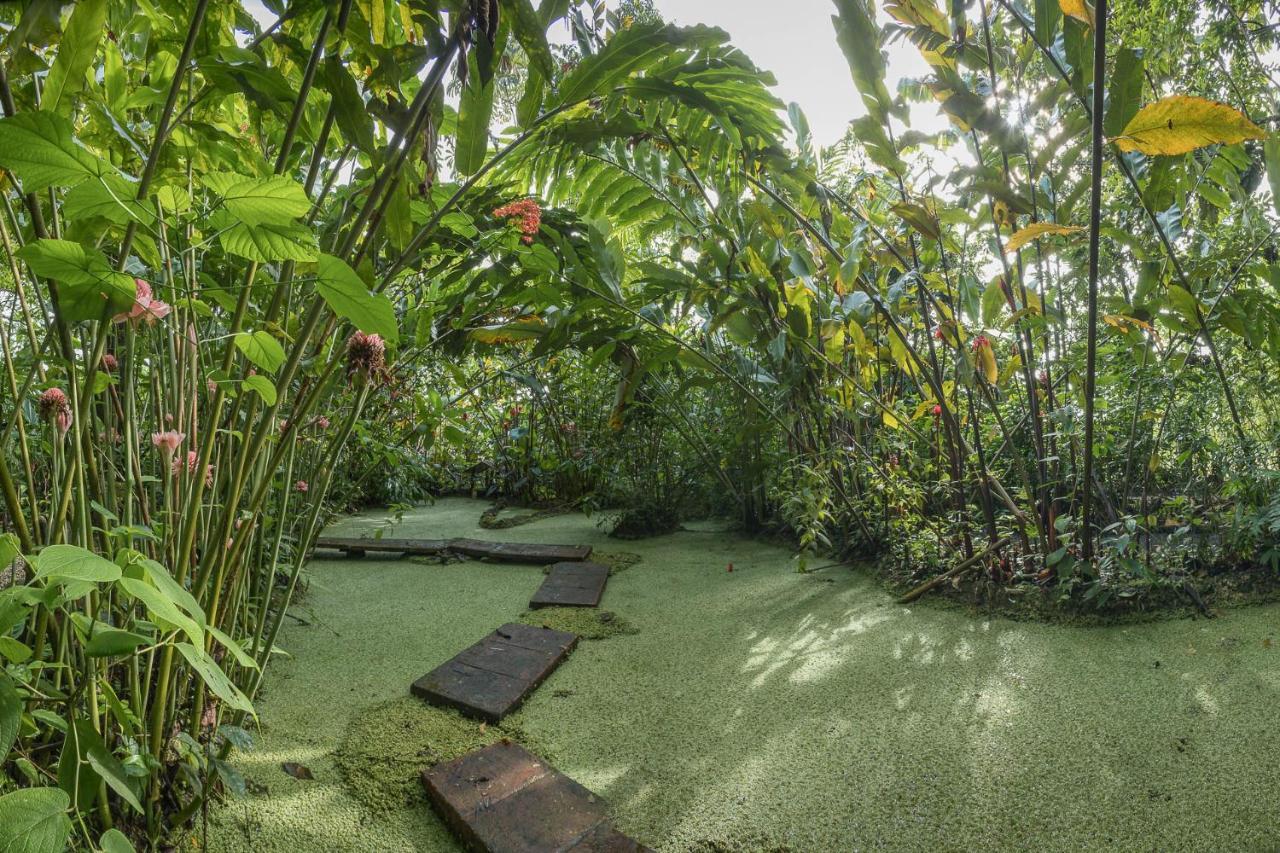 Cabanas Del Rio Aparthotel La Fortuna Bagian luar foto